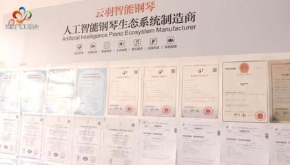 銀發創業傳奇 傾盡家產鑄琴魂，兩年破兩億的跨界逆襲