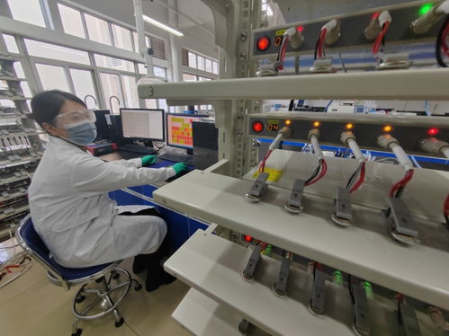 中國首創！洛陽牡丹殼變廢為寶，開啟鈉電池負極材料新紀元